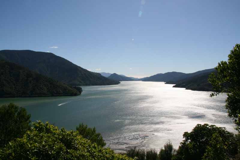 Nieuw-Zeeland 2011 - 0967